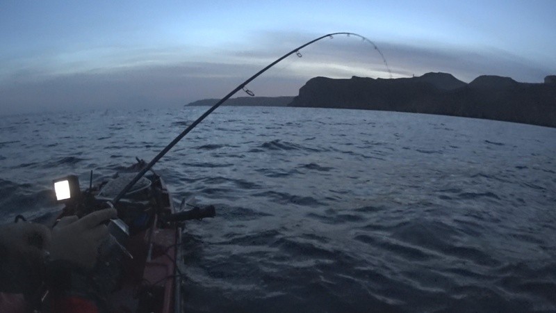 Hobie Forums • View topic - Fishing In The Dark-Squid Eging (EGI