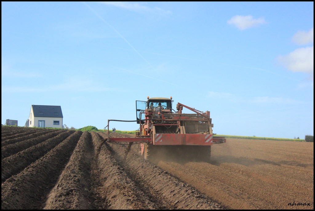 Plantation de pomme de terre, chantier n°3 - L'agriculture, le forestier et  le TP en Bretagne