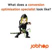 Conversion optimisation specialist 