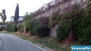 Mura con piante di cappero