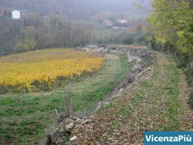 Un sentiero tra Vilaga e S. Donato