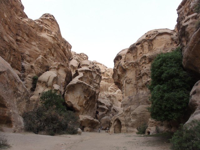 Recuerdos de Jordania: La maravillosa Petra y bastante más. - Blogs de Jordania - Madaba, Monte Nebo, Castillo de Shobak y Pequeña Petra. (37)