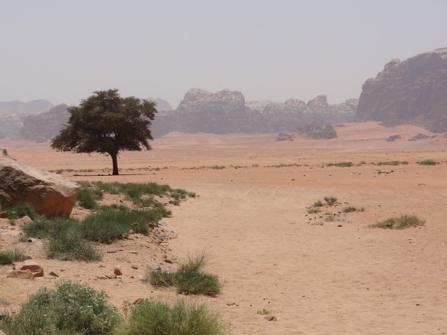 Desierto de Wadi Rum. - Recuerdos de Jordania: La maravillosa Petra y bastante más. (10)