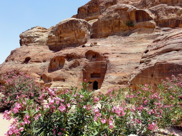 Petra: maravilla universal. - Recuerdos de Jordania: La maravillosa Petra y bastante más. (51)