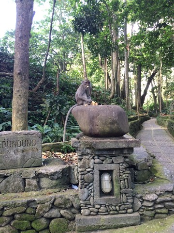 Un Mes Por Tierras Asiáticas (finalizado) - Blogs de Asia - Monkey Forest, Templo Besakih y llegada a KUTA. (3)