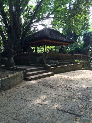 Un Mes Por Tierras Asiáticas (finalizado) - Blogs de Asia - Monkey Forest, Templo Besakih y llegada a KUTA. (4)