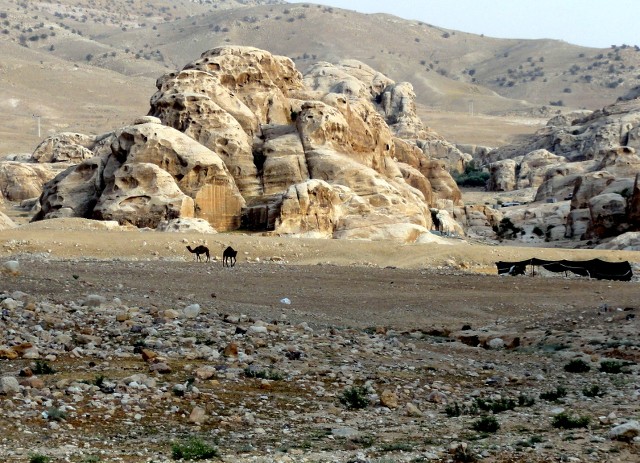 Recuerdos de Jordania: La maravillosa Petra y bastante más. - Blogs de Jordania - Madaba, Monte Nebo, Castillo de Shobak y Pequeña Petra. (34)