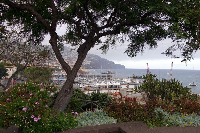 Madeira. Los grandes paisajes de una pequeña isla. - Blogs of Portugal - PREPARATIVOS DEL VIAJE Y VUELO. FUNCHAL. (10)