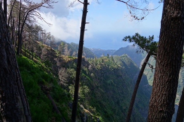 MIRADOR PICO DOS BARCELOS - EIRA DO SERRADO - PICOS AREEIRO/RUIVO (ruta a pie). - Madeira. Los grandes paisajes de una pequeña isla. (7)