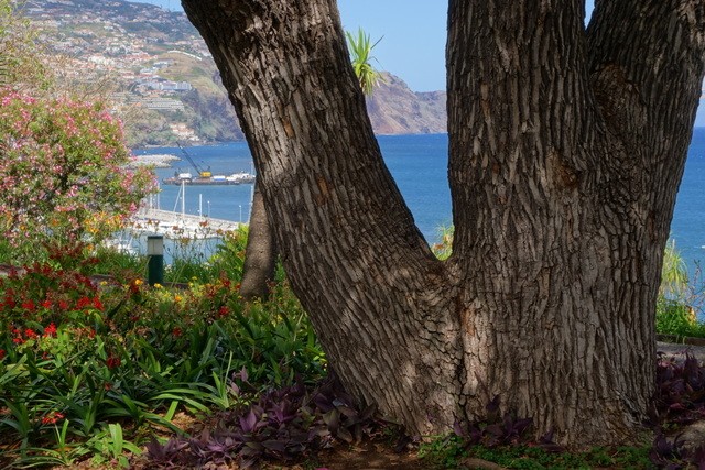 PONTA DE SAO LOURENÇO -.FUNCHAL – CÁMARA DE LOBOS. - Madeira. Los grandes paisajes de una pequeña isla. (27)