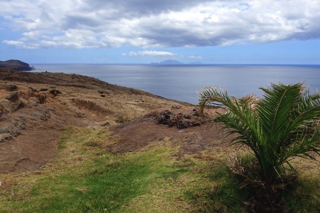 PONTA DE SAO LOURENÇO -.FUNCHAL – CÁMARA DE LOBOS. - Madeira. Los grandes paisajes de una pequeña isla. (26)