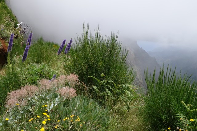 MIRADOR PICO DOS BARCELOS - EIRA DO SERRADO - PICOS AREEIRO/RUIVO (ruta a pie). - Madeira. Los grandes paisajes de una pequeña isla. (26)