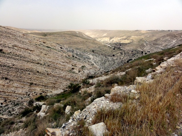 Recuerdos de Jordania: La maravillosa Petra y bastante más. - Blogs de Jordania - Madaba, Monte Nebo, Castillo de Shobak y Pequeña Petra. (30)