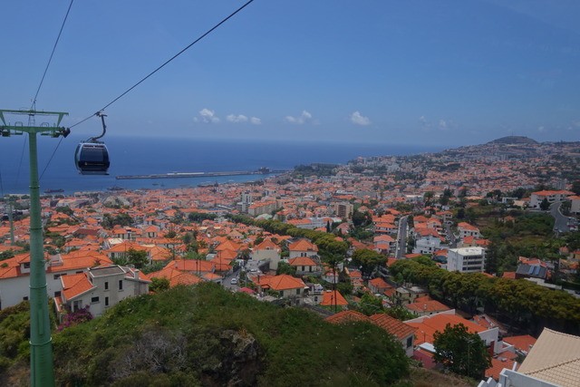 Madeira. Los grandes paisajes de una pequeña isla. - Blogs de Portugal - FUNCHAL: TELEFÉRICO Y JARDÍN TROPICAL DE MONTE. (5)