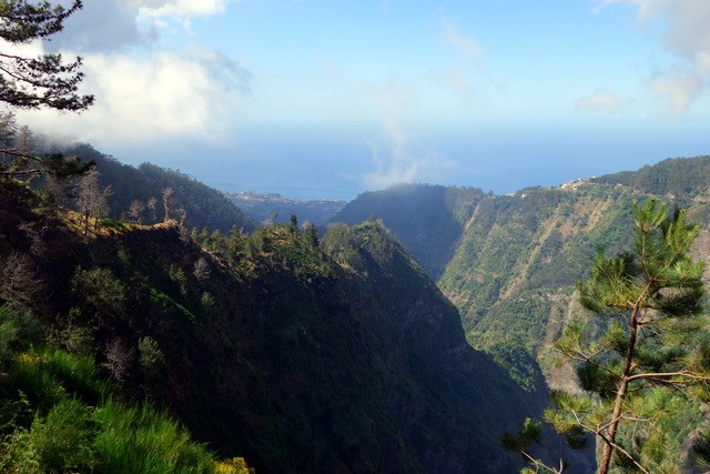 MIRADOR PICO DOS BARCELOS - EIRA DO SERRADO - PICOS AREEIRO/RUIVO (ruta a pie). - Madeira. Los grandes paisajes de una pequeña isla. (6)