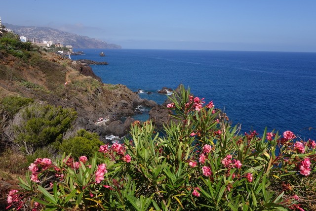 Madeira. Los grandes paisajes de una pequeña isla. - Blogs of Portugal - PREPARATIVOS DEL VIAJE Y VUELO. FUNCHAL. (5)