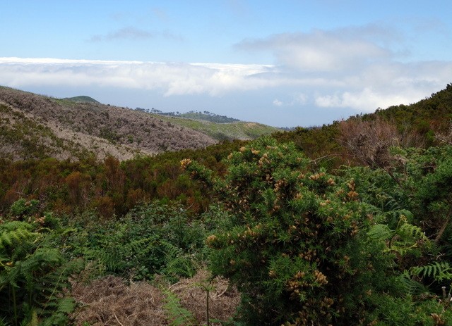 Madeira. Los grandes paisajes de una pequeña isla. - Blogs of Portugal - SAO VICENTE - PORTO MONIZ – RABAÇAL – PONTA DO SOL (18)