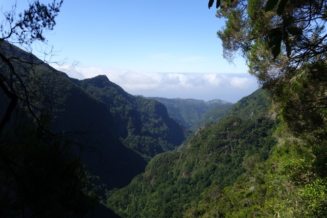 Madeira. Los grandes paisajes de una pequeña isla. - Blogs de Portugal - RIBEIRO FRÍO (BALÇOES) – SANTANA - CALDEIRAO VERDE - CANIÇAL (21)