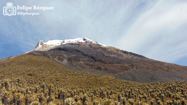 Un antofagastino en Colombia - Blogs de Colombia - Nevado del Tolima (6)