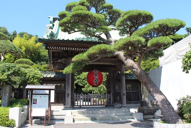 Día 5: Kamakura, día de templos y mucho sol - JAPÓN en 20 días. AGOSTO 2017; preparen sus abanicos. (1)