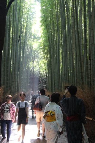 Día 10: Kinkakuji, Ryoanji y paseo por Arashiyama - JAPÓN en 20 días. AGOSTO 2017; preparen sus abanicos. (6)