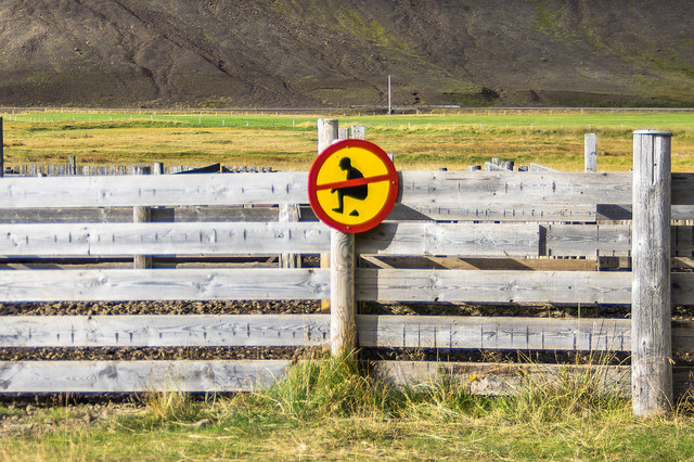 Islandia: 15 días en agosto por la Ring Road (en construcción) - Blogs de Islandia - Día 3 - 13 de agosto Fiordos del Oeste (1)