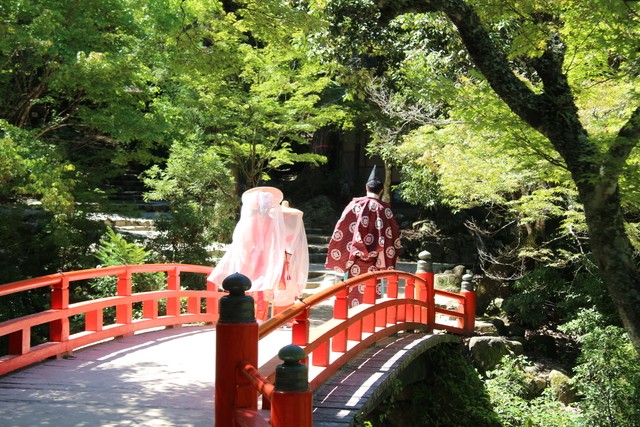 Día 12: Miyajima, excursión de un día desde Kyoto - JAPÓN en 20 días. AGOSTO 2017; preparen sus abanicos. (1)