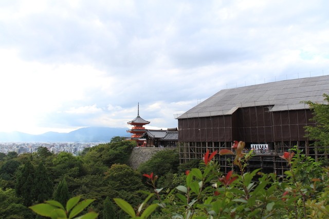 Día 15: Un día en Higashiyama; el corazón de Kyoto - JAPÓN en 20 días. AGOSTO 2017; preparen sus abanicos. (14)
