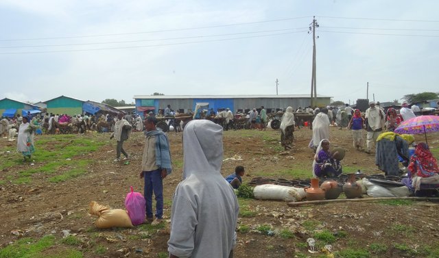 Dos semanas por el Norte de Etiopía - Blogs de Etiopia - Bahir Dhar - Gondar (1)