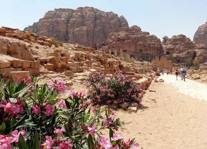 Petra: maravilla universal. - Recuerdos de Jordania: La maravillosa Petra y bastante más. (65)