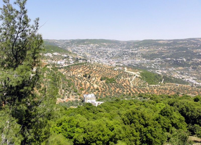 Amman, Castillo de Ajlun y Jerash (Gerasa). - Recuerdos de Jordania: La maravillosa Petra y bastante más. (26)