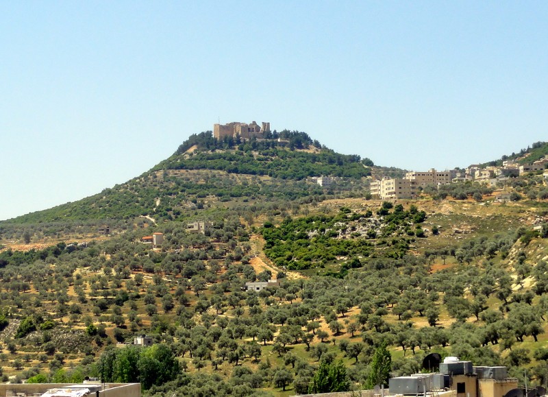 Recuerdos de Jordania: La maravillosa Petra y bastante más. - Blogs de Jordania - Amman, Castillo de Ajlun y Jerash (Gerasa). (22)