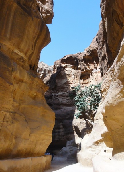 Petra: maravilla universal. - Recuerdos de Jordania: La maravillosa Petra y bastante más. (16)