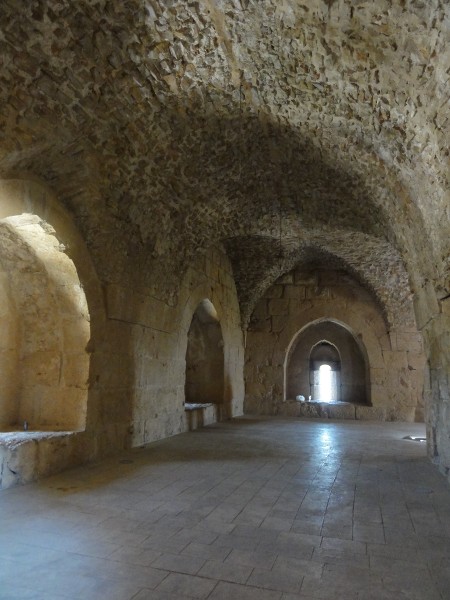 Recuerdos de Jordania: La maravillosa Petra y bastante más. - Blogs de Jordania - Amman, Castillo de Ajlun y Jerash (Gerasa). (30)