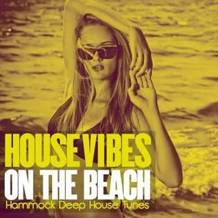 House Vibes On The Beach - 2015 Mp3 indir