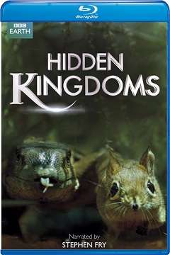Gizli Krallık - BBC Earth Hidden Kingdoms - 2014 BluRay 1080p DuaL MKV indir