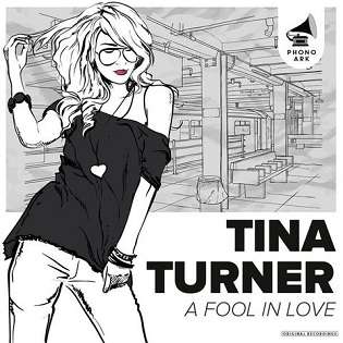 Tina Turner – A Fool in Love (The Best Of) - 2015 Mp3 indir