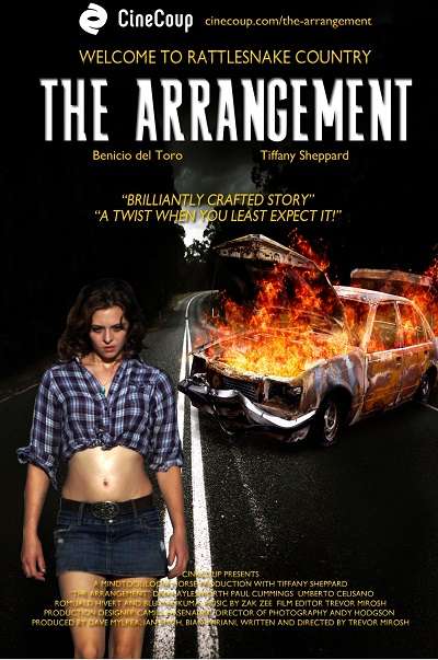 Anlaşma - The Arrangement - 2013 Türkçe Dublaj MKV indir