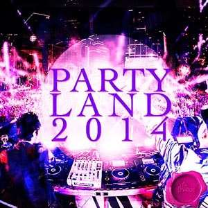 Party 2014 South Convert [Assemblage] - 2014 Mp3 Full indir