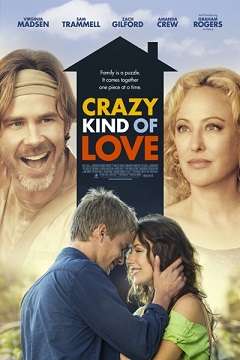 Aşkın Çılgın Hali - Crazy Kind of Love - 2013 Türkçe Dublaj MKV indir