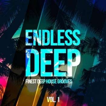 Endless Deep: Finest Deep House Grooves Vol.1 - 2015 Mp3 indir