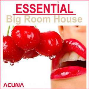 Essential Big Room House - 2014 Mp3 Full indir