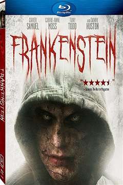 Frankenstein - 2015 BluRay 1080p DuaL MKV indir