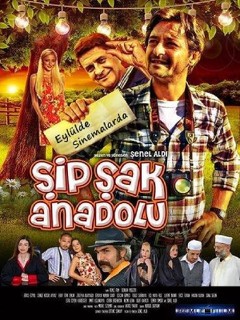 Şipşak Anadolu - 2014 DVDRip XviD - Tek Link indir