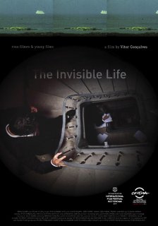 The Invisible Life - 2013 DVDRip x264 - Türkçe Altyazılı Tek Link indir