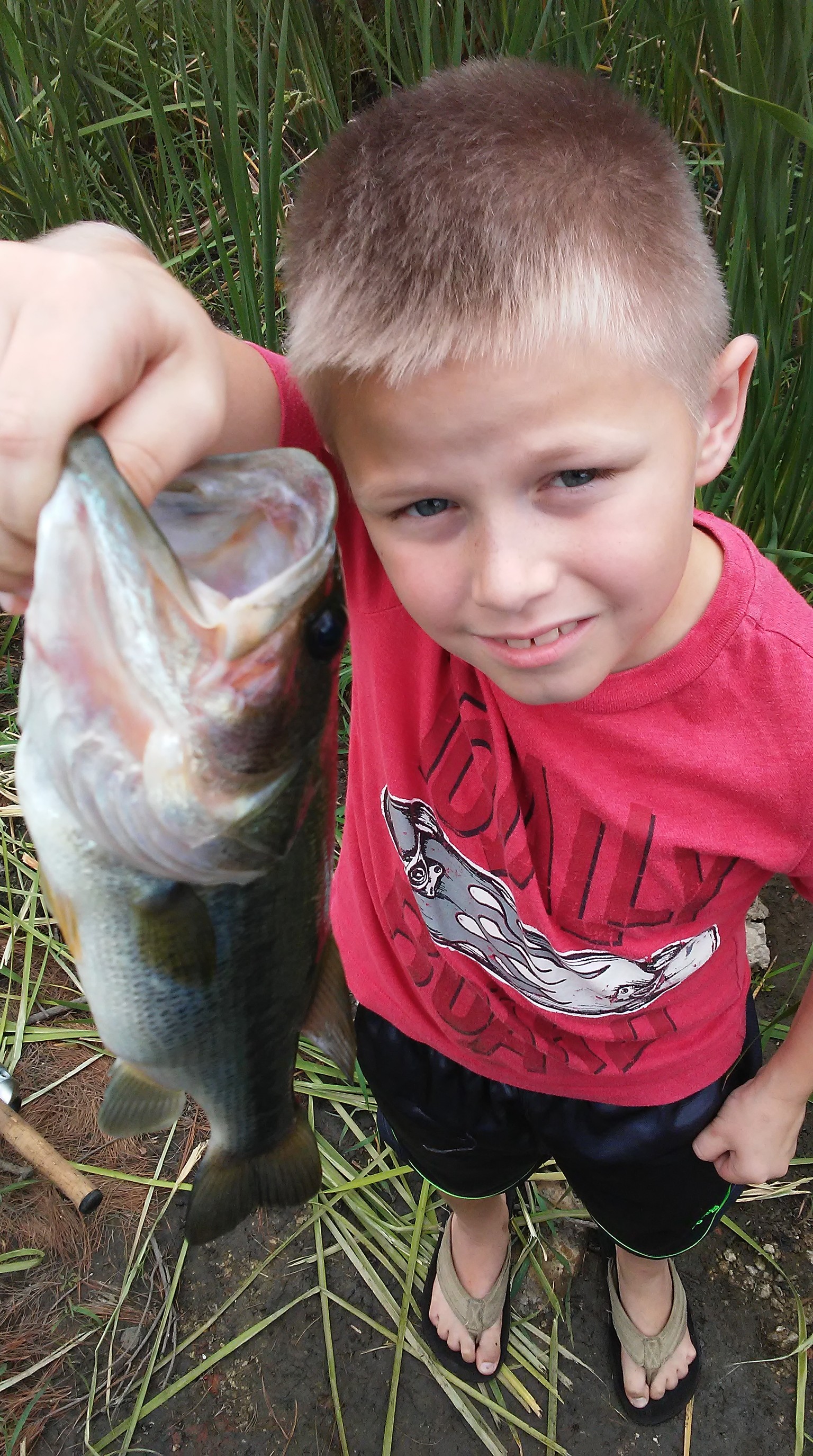 Most Durable Spincast Reel for Young Kids - Fishing Rods, Reels, Line, and  Knots - Bass Fishing Forums